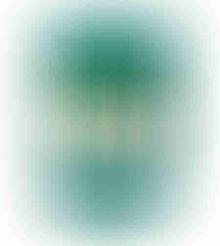 Fir vinil STANDARD 4 mm 1Kg 100m