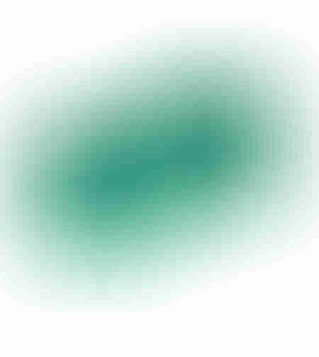 Plasa protectie plante anti-pasari 4m x 12m