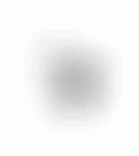 Колесо (2 ролика) ПЛАТФОРМЕННОЕ поворотное +ТОРМОЗ до 60кг D=50