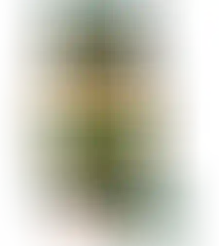 Кофе Якобс Монарх 95г с/б