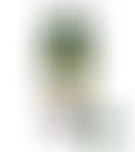 Кофе Якобс Монарх 90г с/б Меликано 