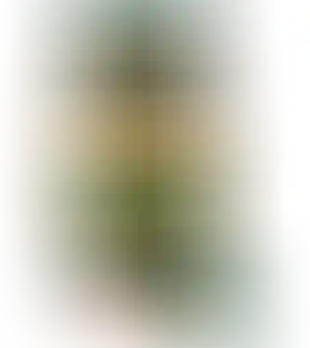 Кофе Якобс Монарх 190г с/б