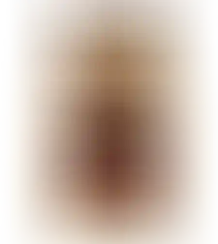 Кофе Нескафе Голд 900г м/у