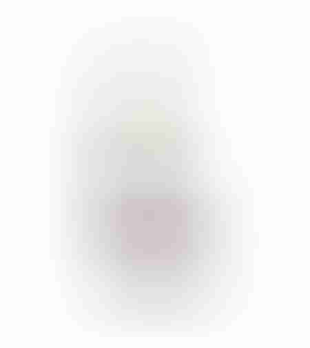 Blamage4ML