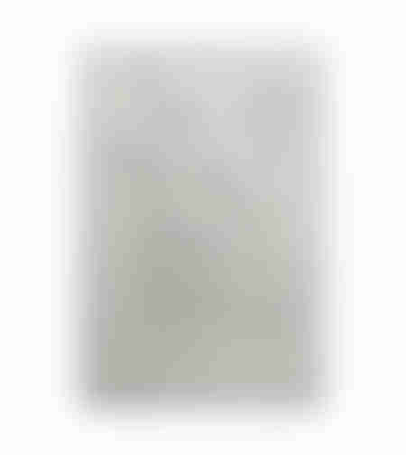 WHITE PAGES PAINTING CANVAS WHITE FRAME SILVER 80x