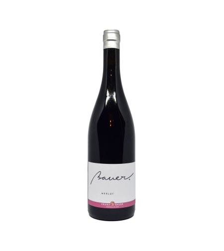 BAUER MERLOT 5 LITRI 2013 CRAMA BAUER
