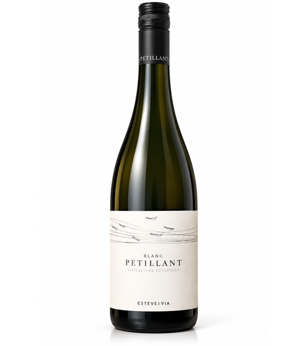 AVINYO PETILLANT BLANC