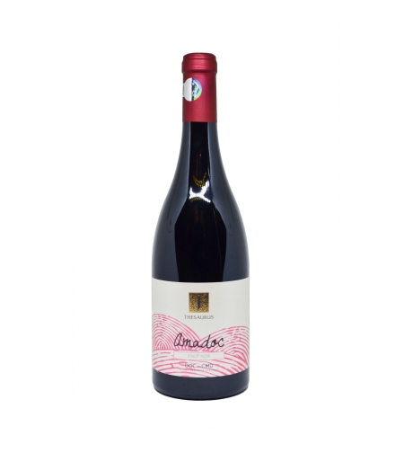 AMADOC PINOT NOIR THESAURUS WINES