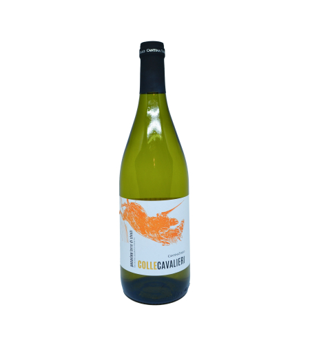 CANTINA TOLLO COLLE CAVALIERI PECORINO