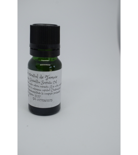 Frankincense Essential Oil