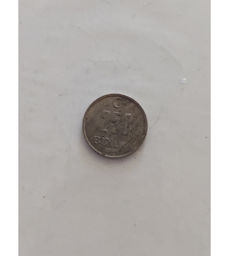 250 binlira, 2004
