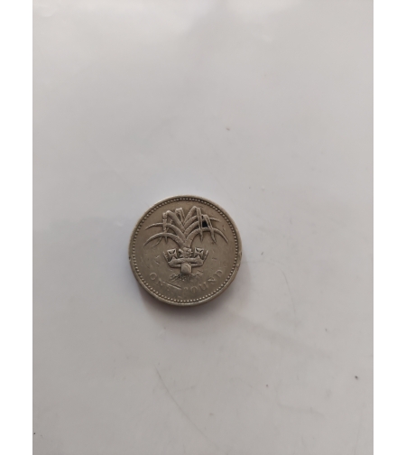 One pound, 1985