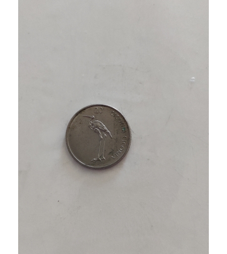 20, 2004
