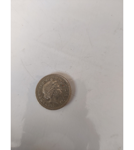 One pound, 2005
