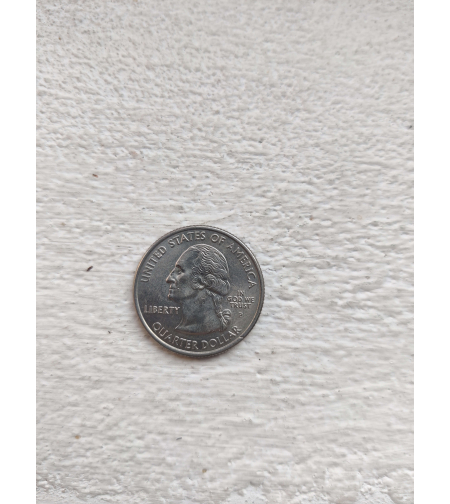 Quarter dollar, 2004
