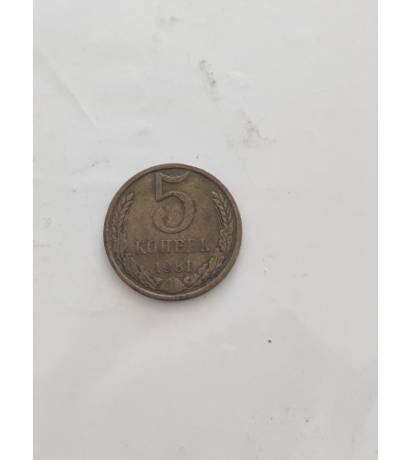 5 koneek, 1981