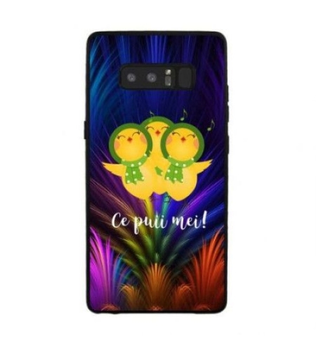 Husa Samsung A3 2017 Multicolor Mesaj Pui