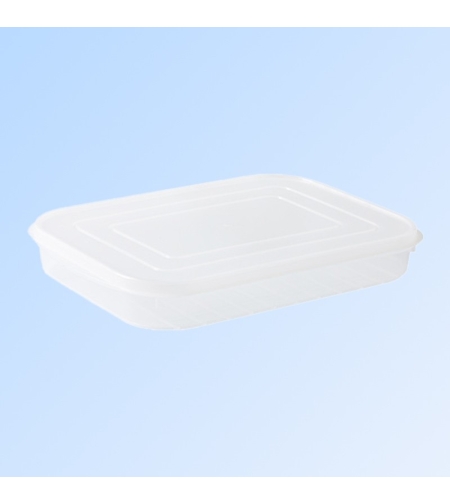 Cutie de depozitare de uz casnic, Flippy, Caserola pentru Frigider, Rezistenta la umiditate, Rezervor Sigilat pentru Depozitare Alimentara, 24.5 x 18.5 x 3.5cm, Alb Transparent