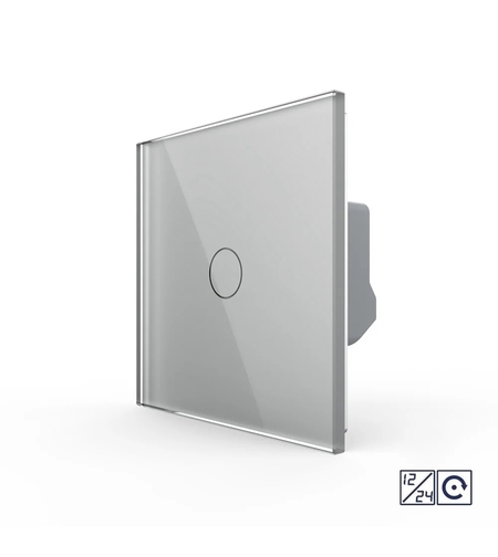 Intrerupator Simplu cu Revenire, Contact Uscat si 12/24V cu Touch LIVOLO – Serie Noua, gri