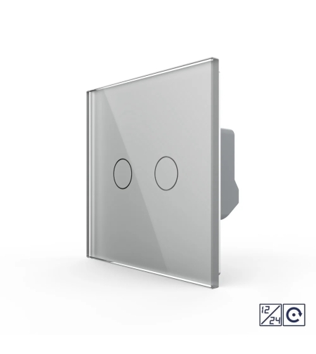 Intrerupator Dublu cu Revenire, Contact Uscat si 12/24V cu Touch LIVOLO – Serie Noua, gri
