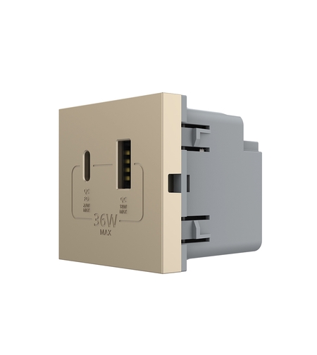 Modul Priza USB-A + USB-C LIVOLO – Serie Noua, auriu