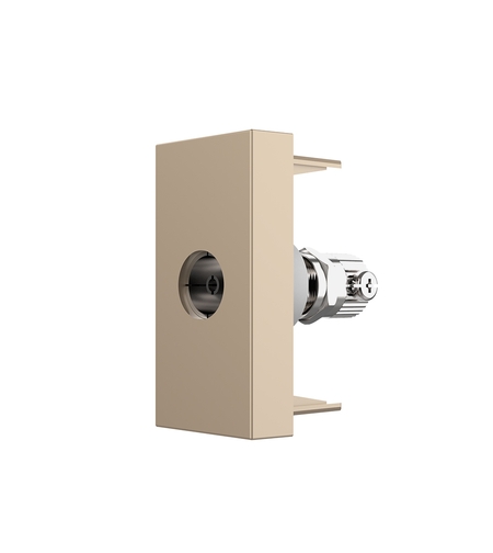 Priza TV Livolo, auriu