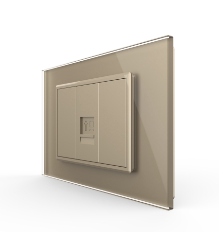 Priza internet Livolo cu rama din sticla - standard italian, auriu