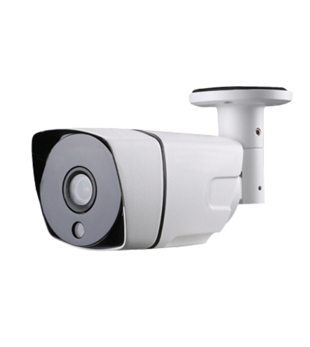 Camera de supraveghere Besnt BS-IP73GP, HD, Vedere nocturna, Rezistenta la apa, Monitorizare 24h