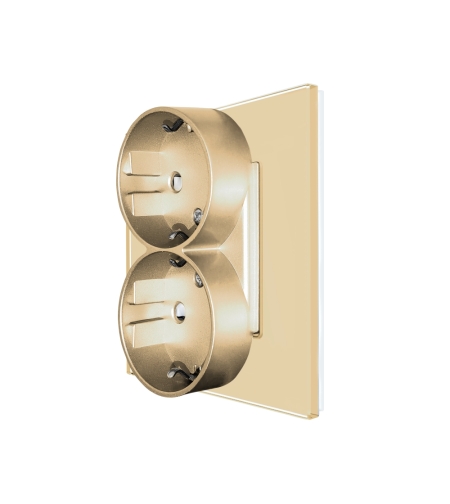 Priza Dubla LUXION cu Rama din Sticla Pentru Doza Simpla, auriu