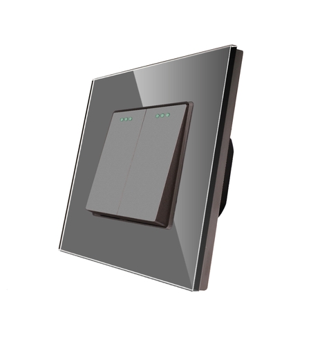 Intrerupator Dublu Mecanic LUXION cu Rama din Sticla, gri