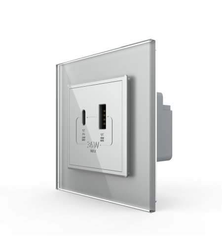 Priza USB-A + USB-C cu Rama Din Sticla LIVOLO - Serie Noua, gri