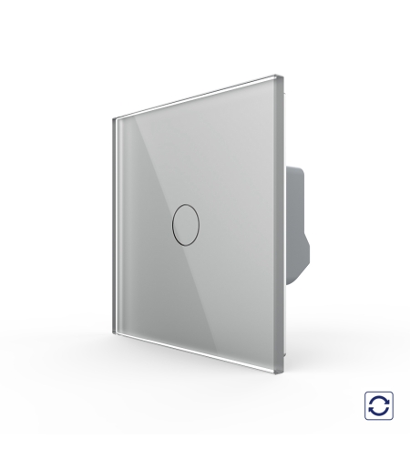 Intrerupator Simplu cu Revenire Contact Uscat cu Touch LIVOLO - Serie Noua, gri