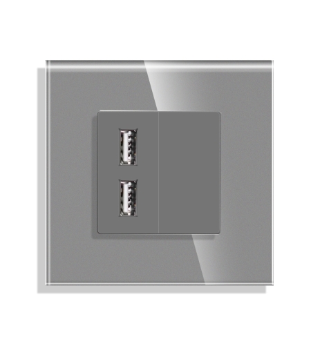 Priza USB cu Rama din Sticla LUXION, gri