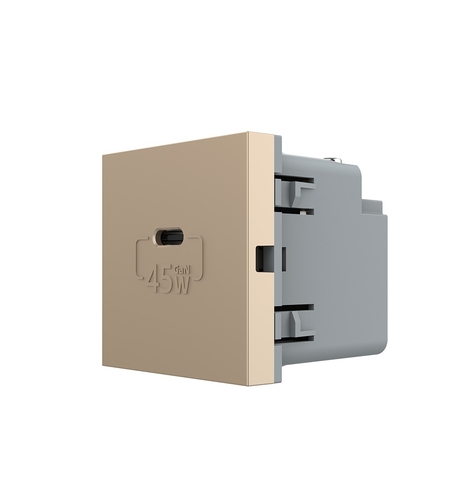 Modul Priza USB Tip C Livolo - Serie Noua, auriu