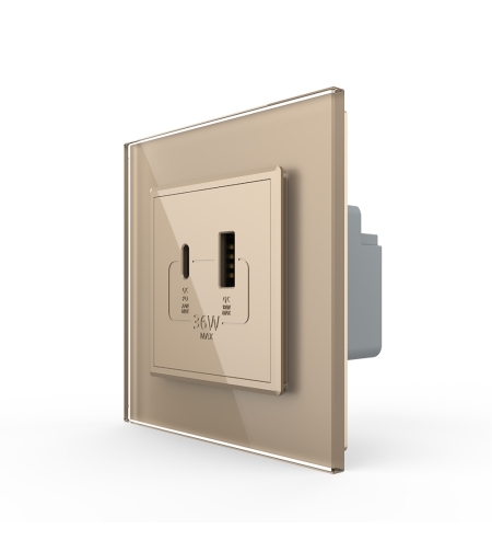 Priza USB-A + USB-C cu Rama Din Sticla LIVOLO - Serie Noua, auriu