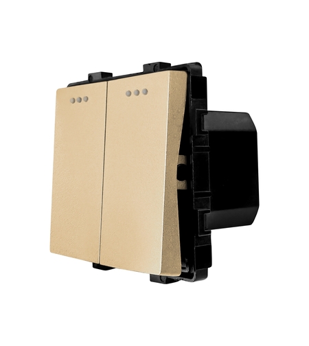 Modul Intrerupator Dublu Mecanic LUXION, auriu