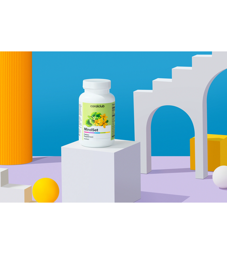 Mindset - circulatia sanguina