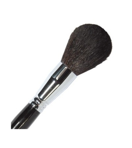 Parisax Professional Powder Brush – BDBC2