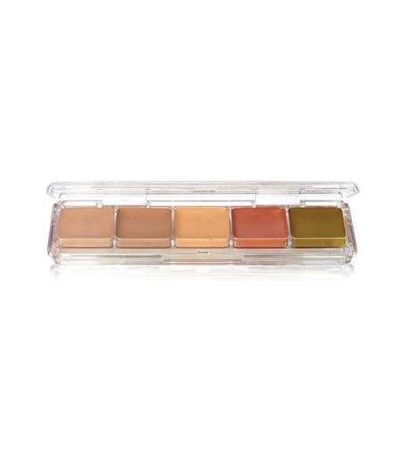 Ben Nye Concealer & Adjuster Alcohol Palette AAP-23 – Paletă profesională corectoare waterproof