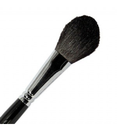 Parisax Professional Blush Brush – BDBC4