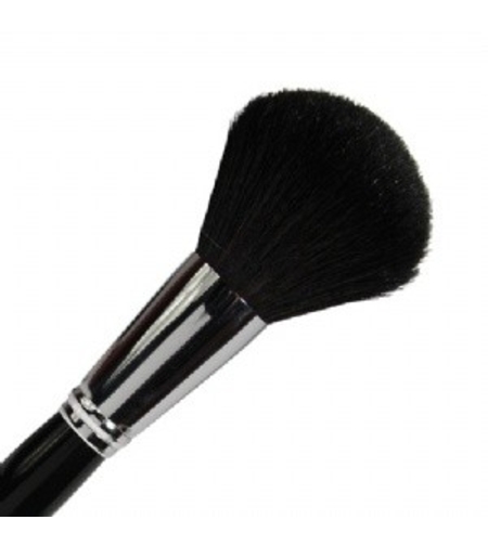 Parisax Professional Large Powder Brush – BDBC1
