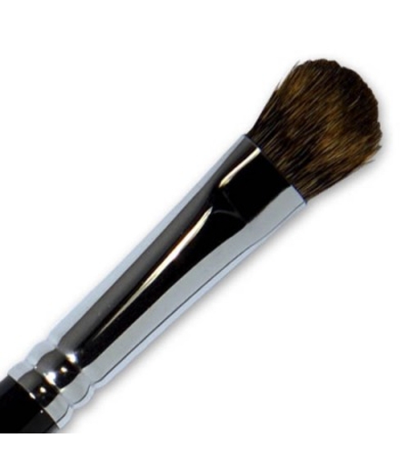 Parisax Professional Eyeshadow Brush BDBC7