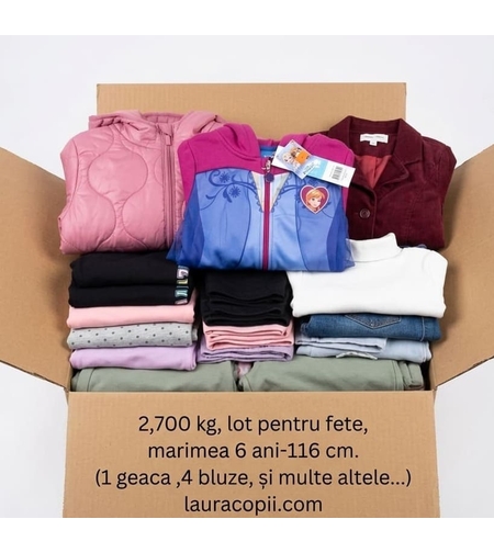Lot Toamnă-Iarnă Fetiță 6 ani (110-116 cm) – 15 Piese de Brand (H&M, Disney, Palomino) + GEACĂ L&D INCLUSĂ