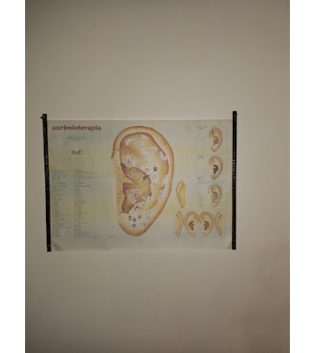 Auricoloterapie - presopunctură la lobul urechii (9+1)