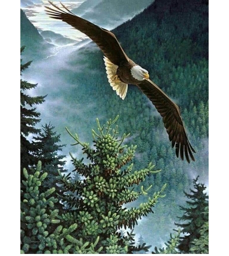 Consiliere dezvoltare personală la distanță