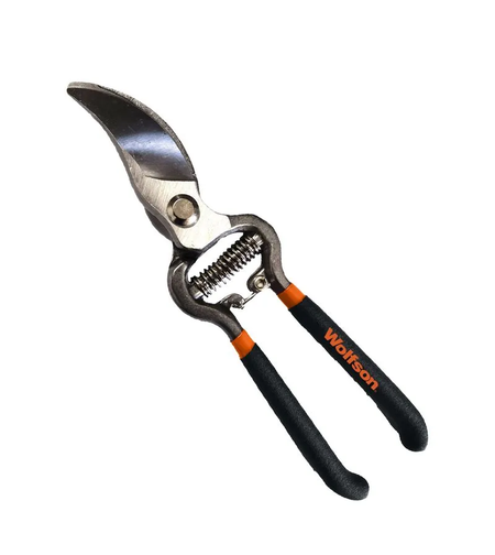 WOLFSON - FOARFECA TAIERE VIE 8.5