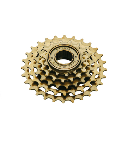 PINION 5