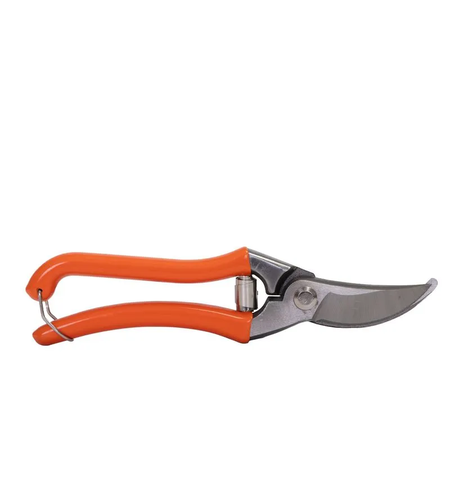 WOLFSON - FOARFECA TAIERE VIE 8.5
