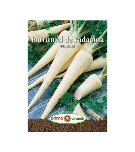 PLIC PATRUNJEL DE RADACINA BERLINER 5GR