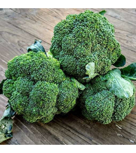 BROCOLI RAMOSO CALABRESE 5GR